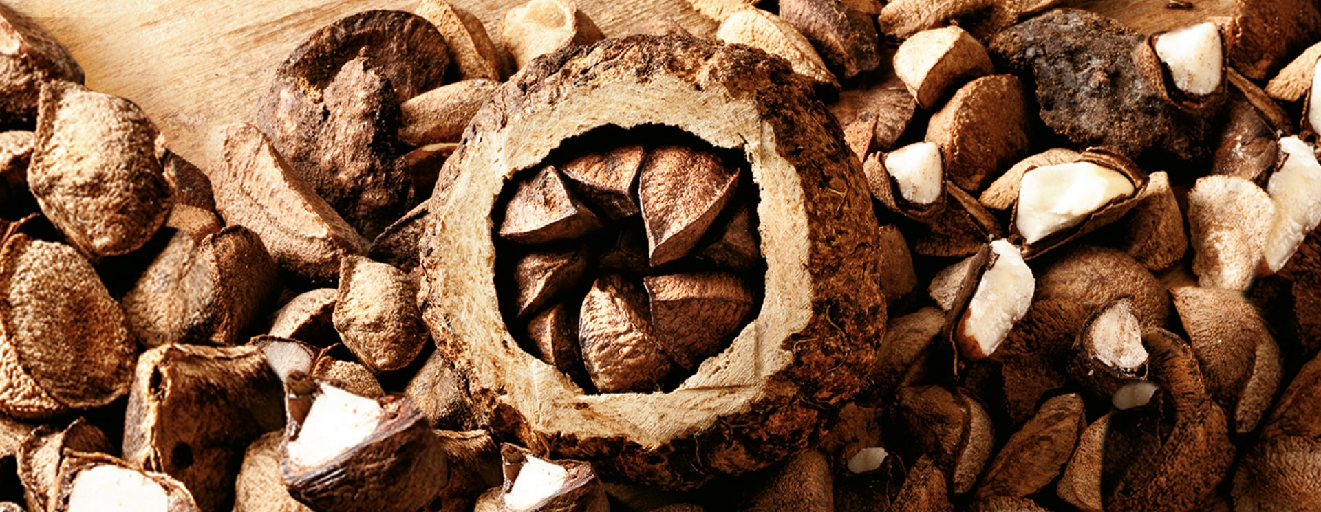 amazonian tradition of chasing and grating the castanha fruit